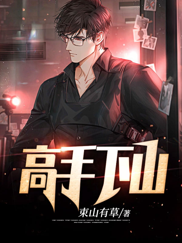 《高手下山》秦阳小说TXT免费阅读