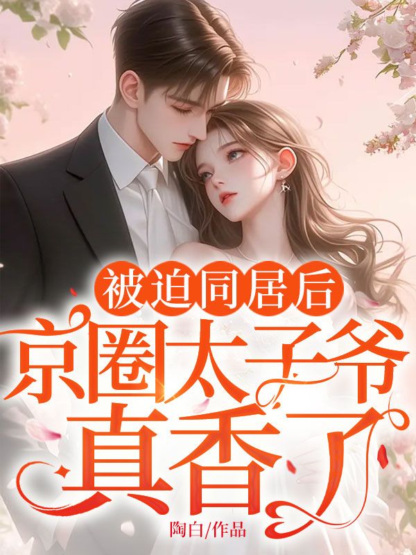 《傅先生携子求领证》许眠傅云晏完整版txt下载